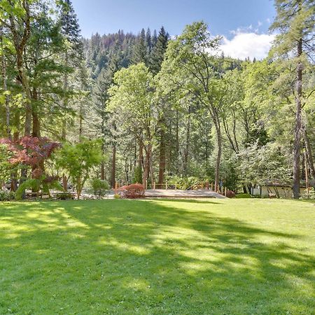 Dunsmuir Apartment About 17 Mi To Mt Shasta Ski Park! 외부 사진